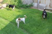 img_1292_small.jpg