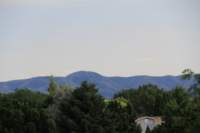 img_1310_small.jpg