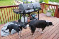 img_1332_small.jpg