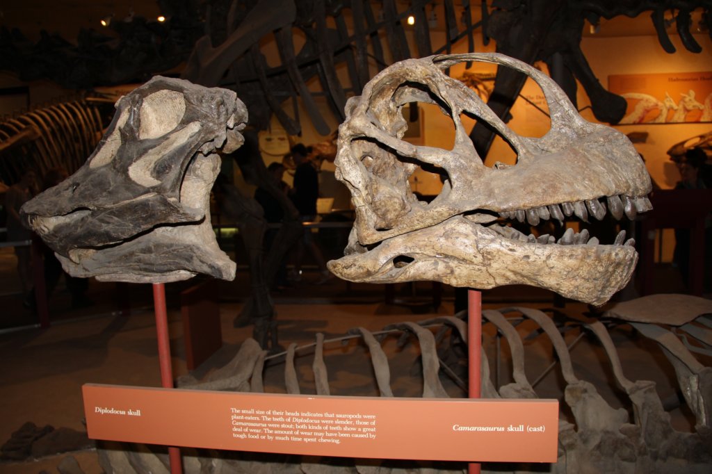 photo25.jpg