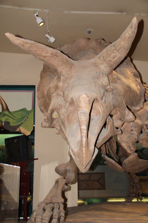 photo5.jpg