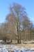 img_0114_small.jpg