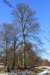 img_0121_small.jpg