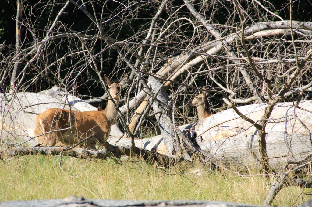 img_0037.jpg