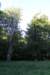 img_0050_small.jpg