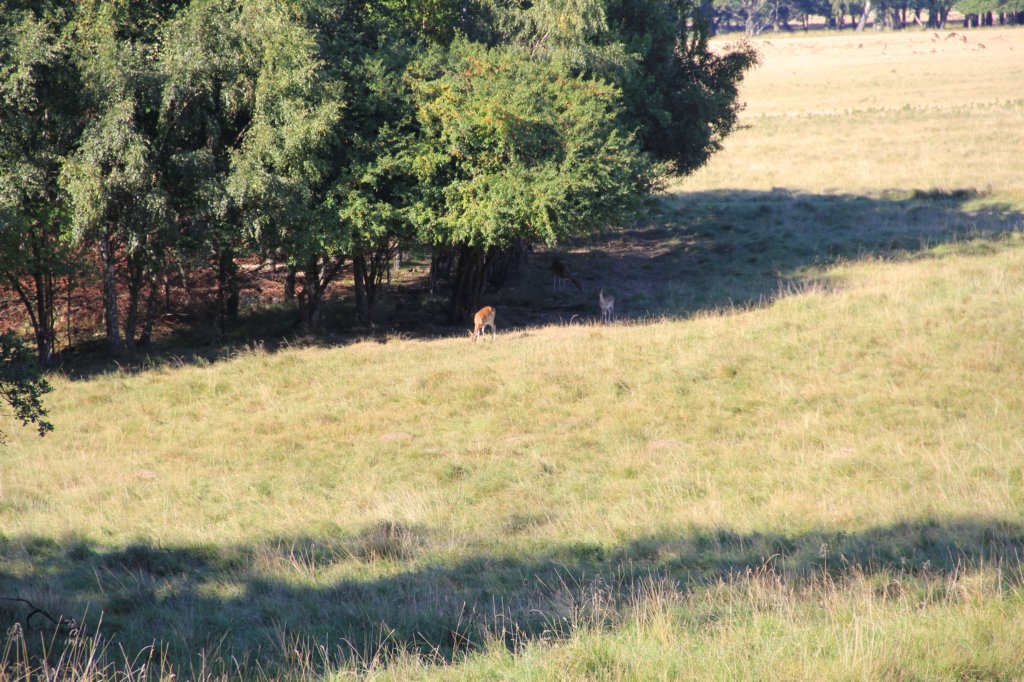 img_0079.jpg