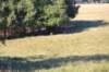 img_0079_small.jpg