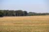 img_0080_small.jpg