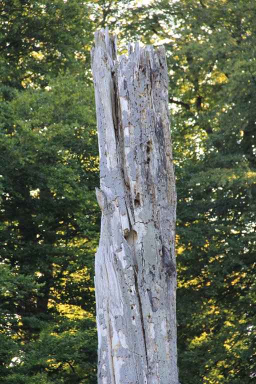 img_0131.jpg