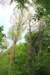 img_0042_small.jpg