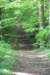 img_0092_small.jpg