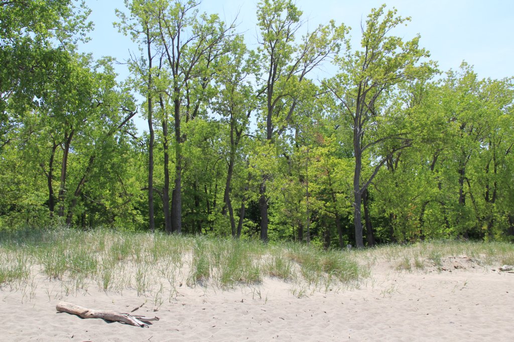 photo3.jpg