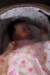 img_0878_small.jpg