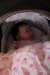 img_0879_small.jpg