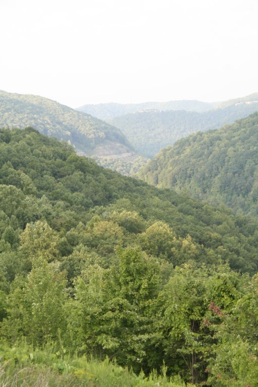 photo3.jpg