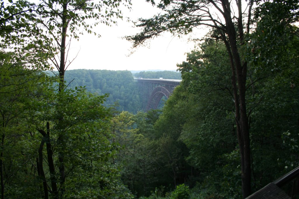 photo7.jpg