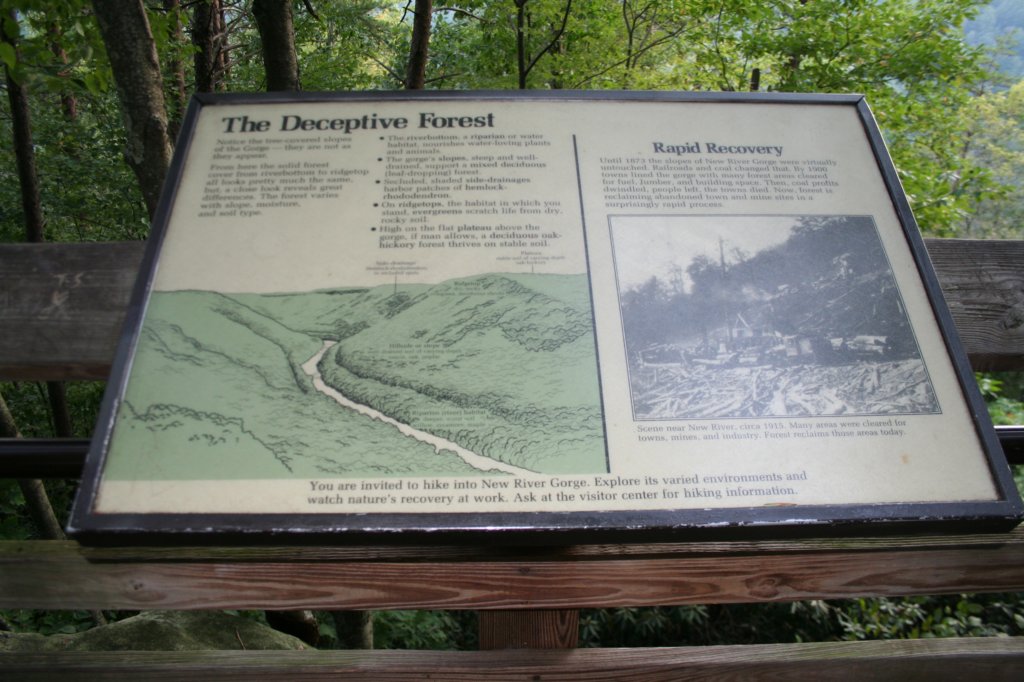 photo9.jpg