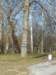photo20_small.jpg