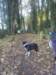 img1353246208v_small.jpg