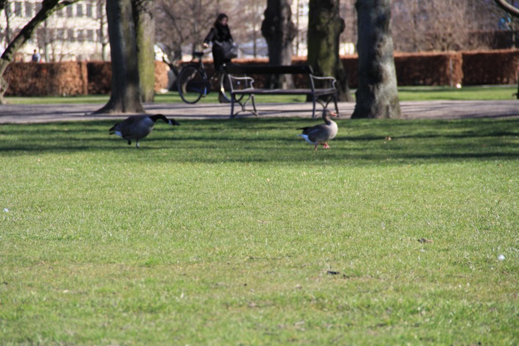 img_0365.jpg