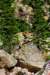img_4072_small.jpg