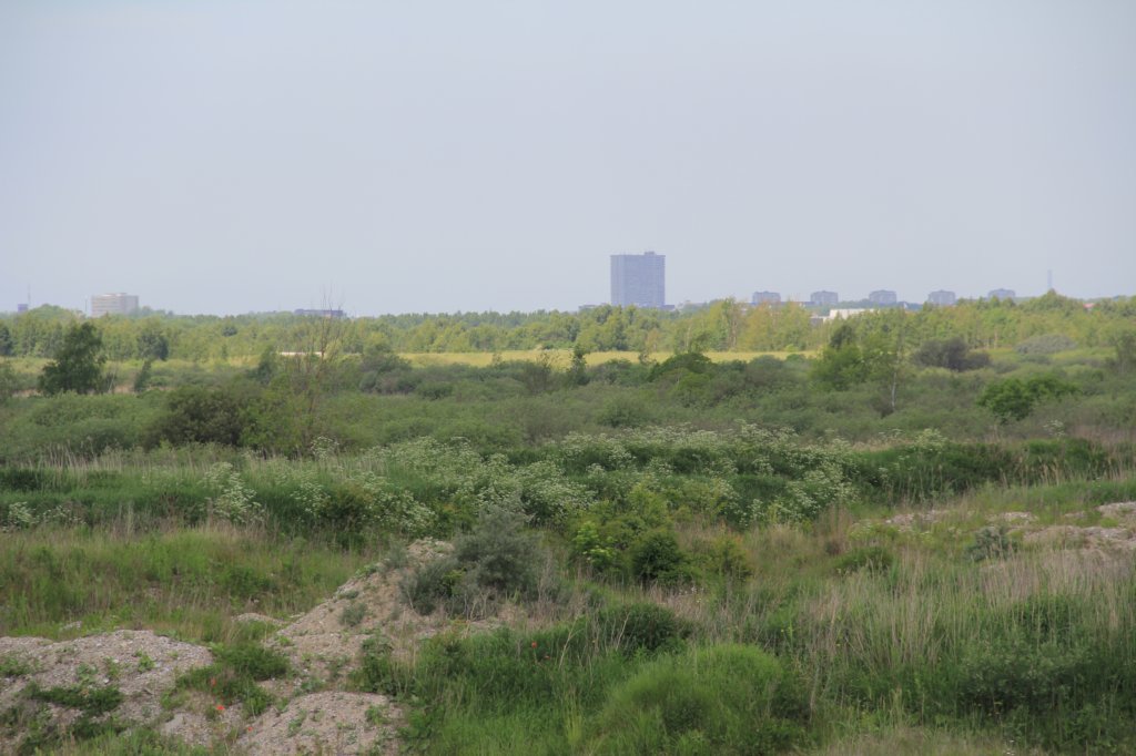 img_0016.jpg