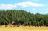 img_3331_small.jpg