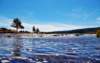 img_3464_small.jpg